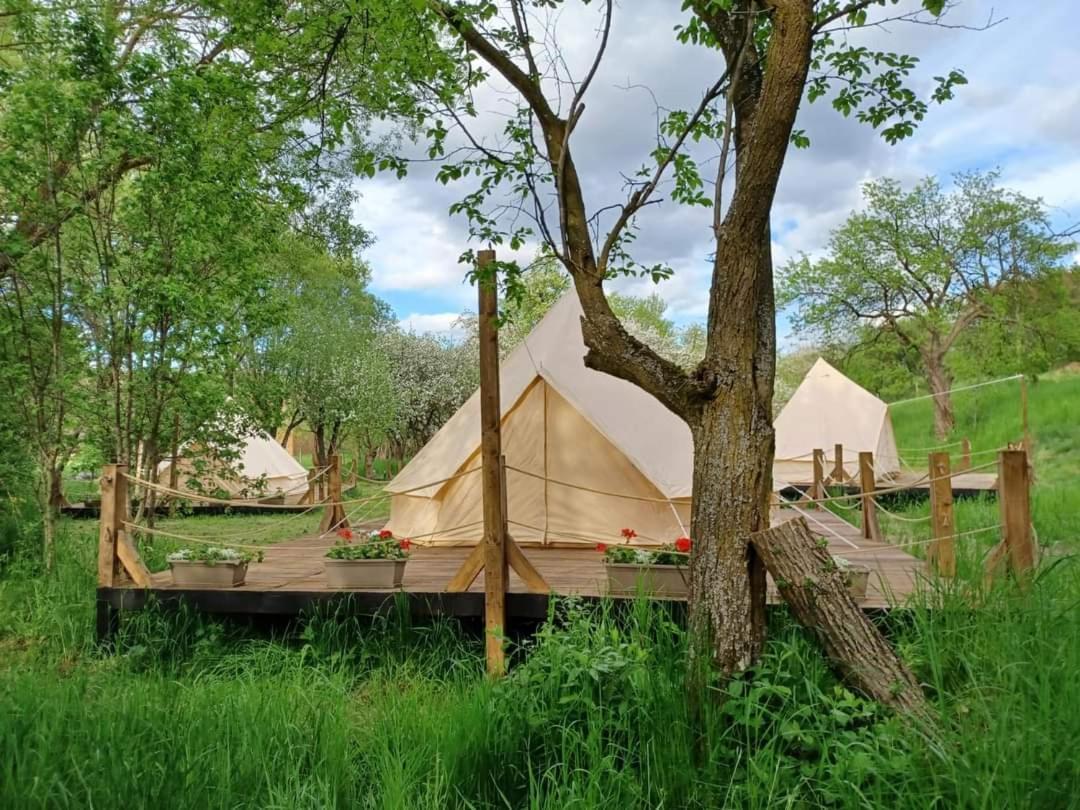 My Lake Glamping Dalnic Екстериор снимка