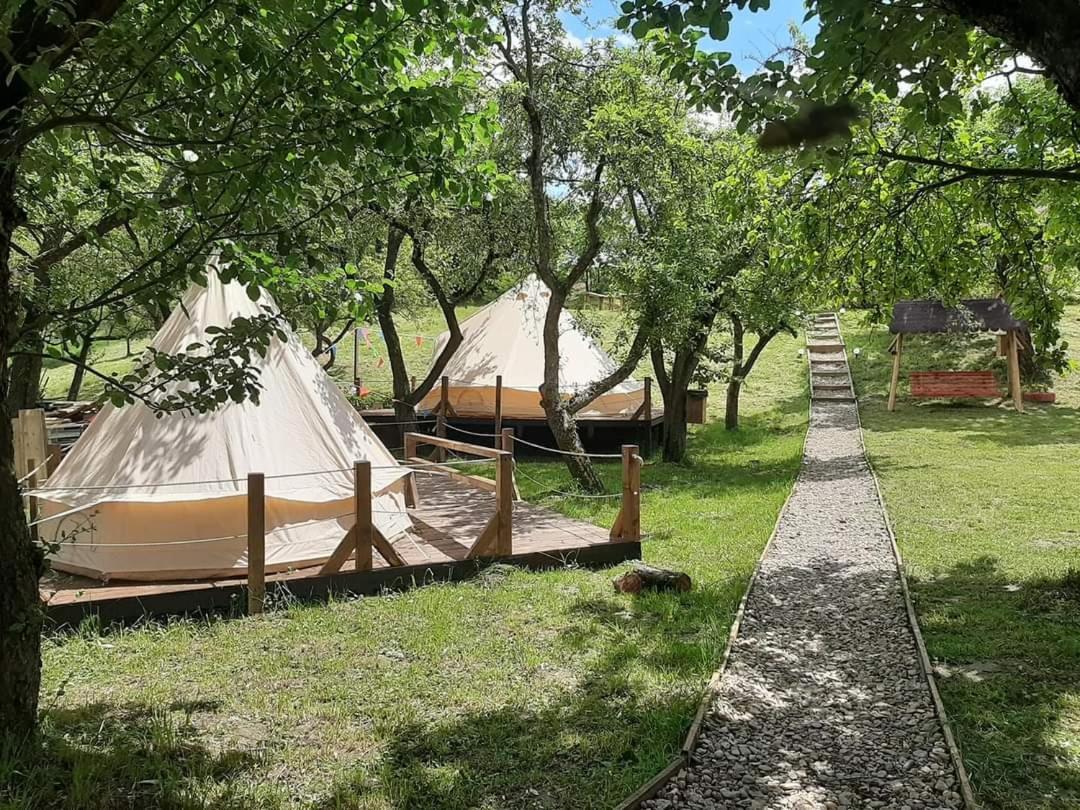 My Lake Glamping Dalnic Екстериор снимка