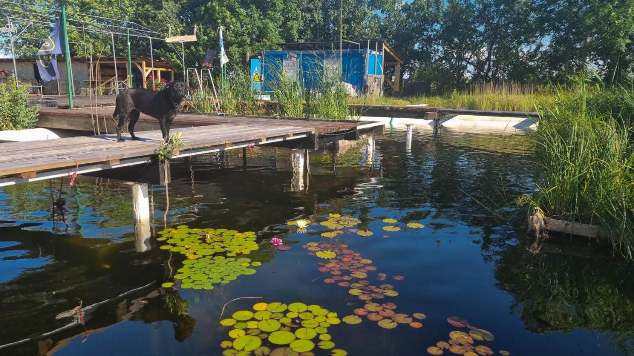 My Lake Glamping Dalnic Екстериор снимка